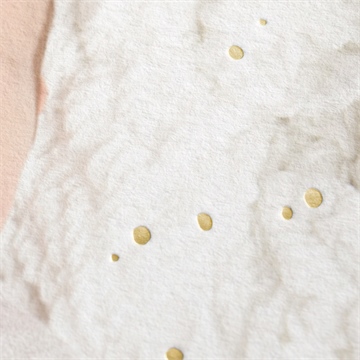 Dankeskarte Geburt blütenpracht - Sicht 2