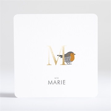 Geburtskarte rotkehlchen mit vergoldung