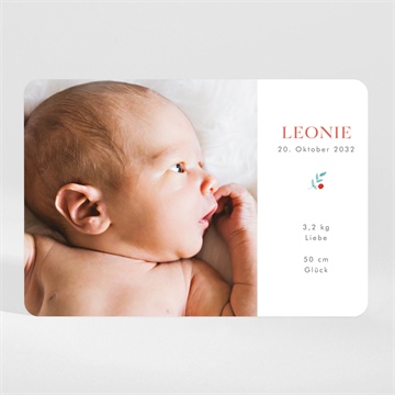 Geburtskarte ref. N110151