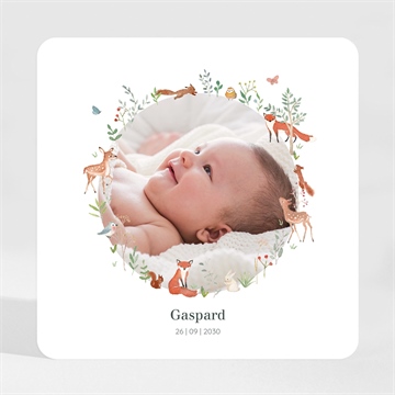 Geburtskarte ref. N3001940