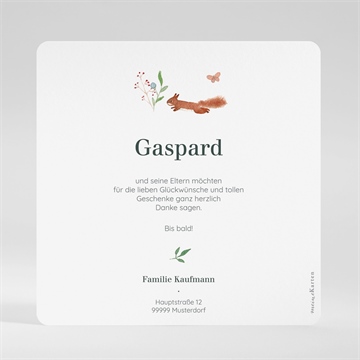 Dankeskarte Geburt kleine waldtiere - vue 2