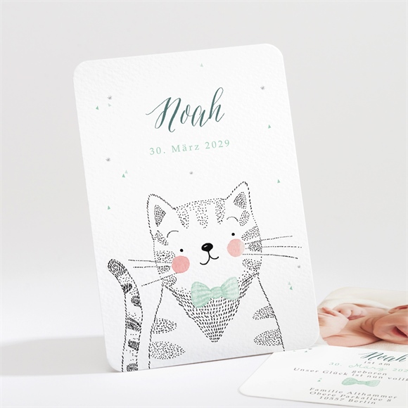 Geburtskarte Dandy ref.N211183