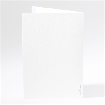 Menükarte Taufe zarte federn - Vue 3