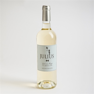 Flaschenetikett Taufe silhouette junge - Vue 2