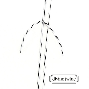 Hochzeitseinladung unsere story - Schnur Detailansicht