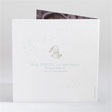 Geburtskarte hase mit luftballon - vue 3