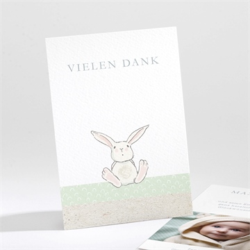 Dankeskarte Geburt ref. N211153