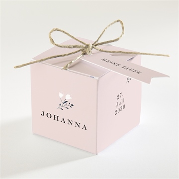 Geschenkbox Taufe ref. N340164