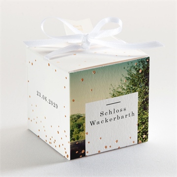 Geschenkbox Hochzeit kupferschimmer - Vue 3