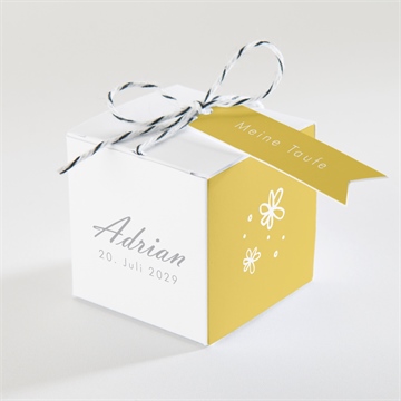 Geschenkbox Taufe ref. N340237