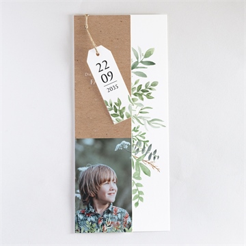 Einladung Kommunion pflanzenillustration - Vue 3