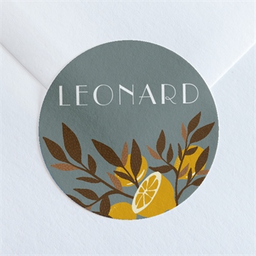 Sticker Geburt ref. N360148