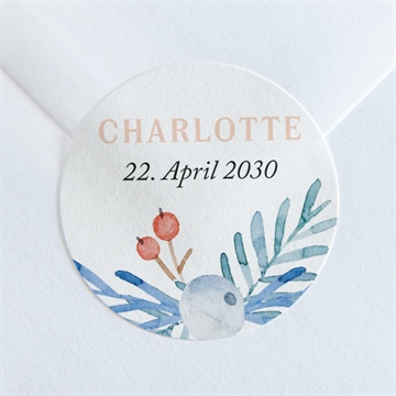 Sticker Geburt ref. N360202