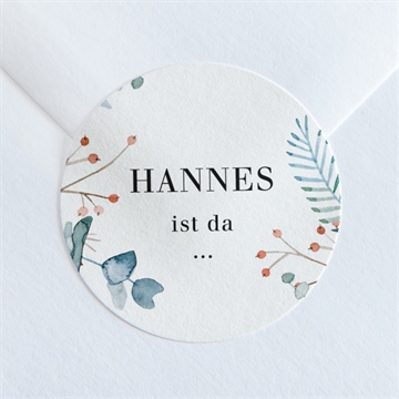 Sticker Geburt ref. N360194