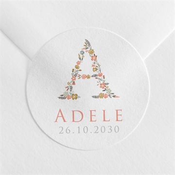 Sticker Geburt ref. N360936