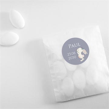 Sticker Geburt magnetkarte kleiner hase - Vue 4