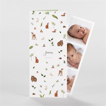 Geburtskarte ref. N98106