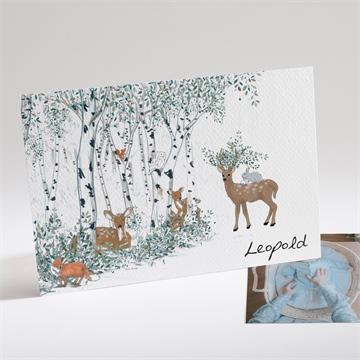 Geburtskarte am waldrand