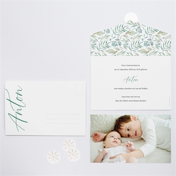 Geburtskarte pflanzliche zärtlichkeit - Vue 3