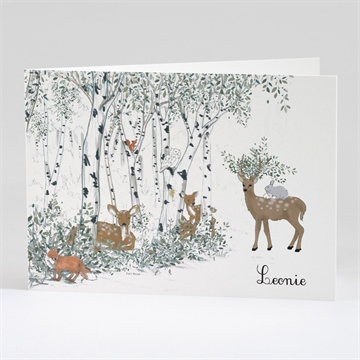 Geburtskarte Ref. N42136