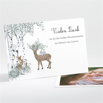 Dankeskarte Geburt ref. N111291
