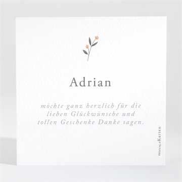 Dankeskarte Geburt kleine gefährten - Vue 2