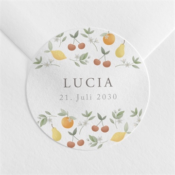 Sticker Geburt ref. N3601102