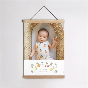 Geburtsposter ref. N260101