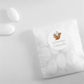 Sticker Geburt eichhörnchen - vue 4