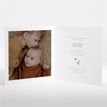 Geburtskarte dinos - Vue 2