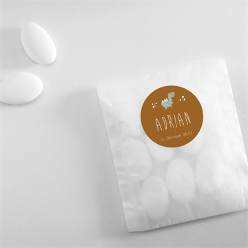 Sticker Geburt dinos - vue 4