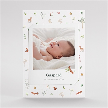 Geburtskarte ref. N23130