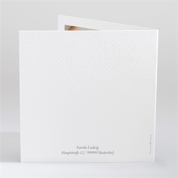 Einladung Taufe zwillingsillustrationen - vue 3