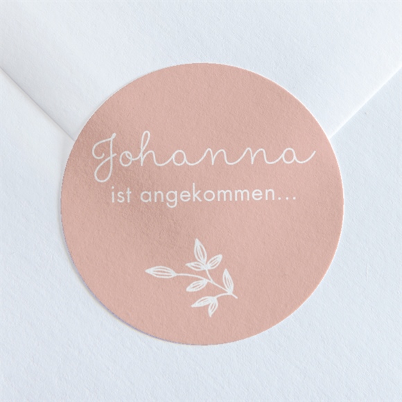 Sticker Geburt Einfacher Rahmen und Foto ref.N360122