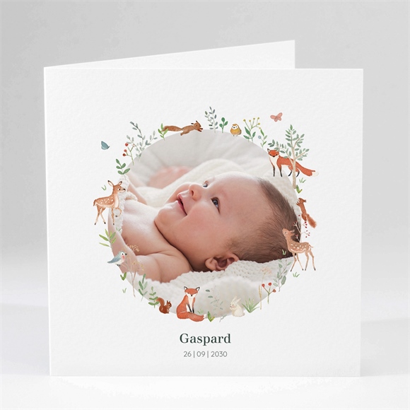 Geburtskarte Kleine Waldtiere ref.N451393